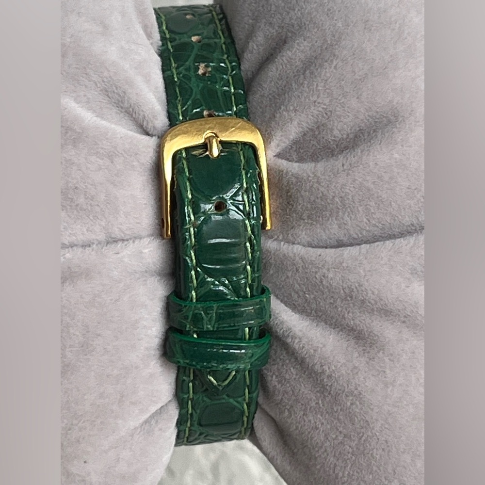 GUCCI 2000L Stacked Case sherry line green straps - Picture 9 of 16